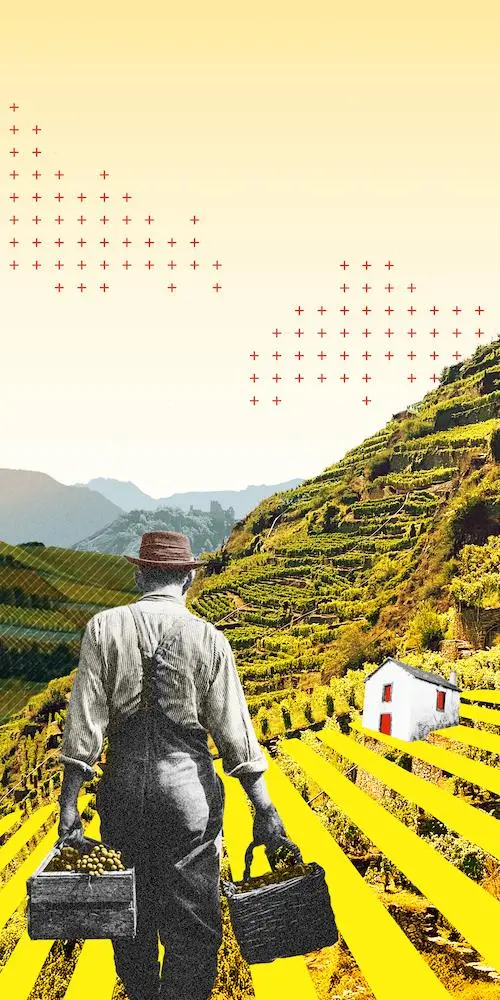 ChocoBar Alpine Vineyards — tablette de chocolat Dark 64% Madagascar