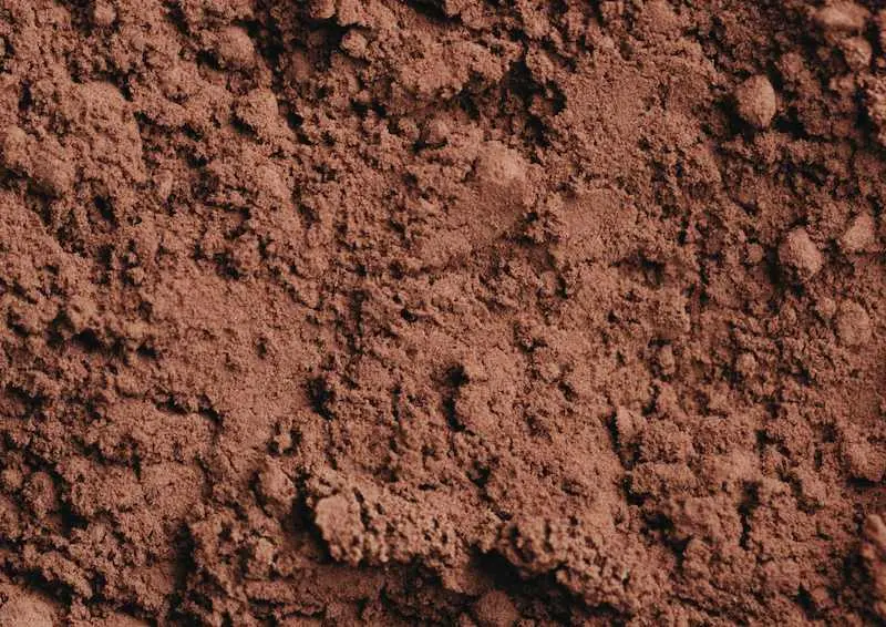 TERROIR